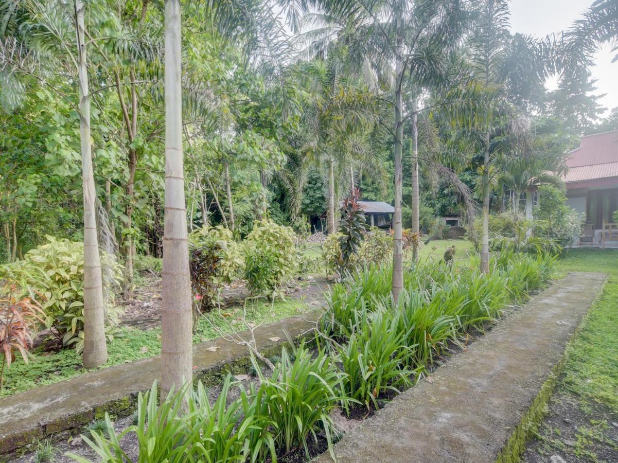 Oyo 90988 Tangkoko Jungle Homestay Rinondoran Exterior foto
